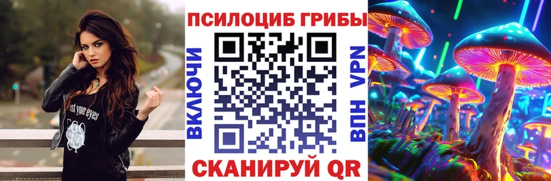 купить наркотики цена  Серпухов  Галлюциногенные грибы GOLDEN TEACHER 